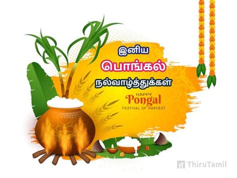 define pongal in tamil
