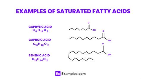 Define Saturated Fatty Acids And Example