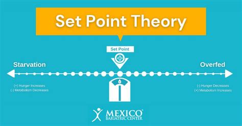 Define Set Point Biology