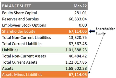 Define Shareholder Equity