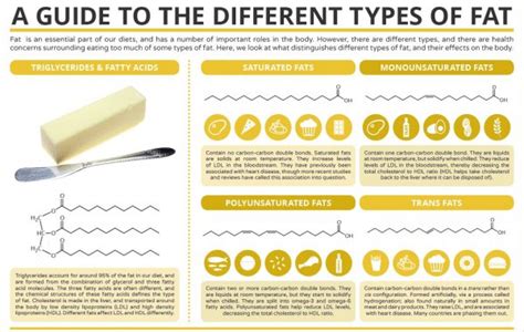 Define Shortening Fat