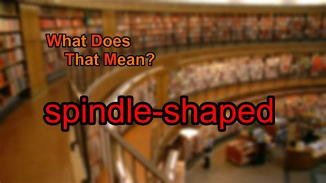 Define Spindle-Shaped