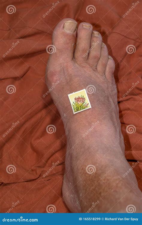 Define Stamp Your Foot