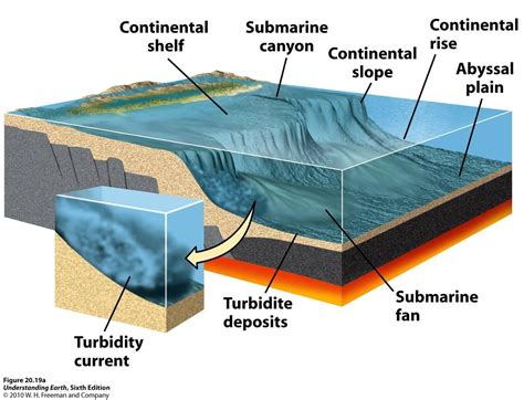 define submarine canyon