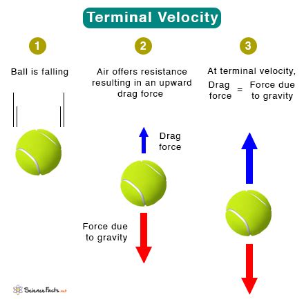 define terminal velocity in physics class 9
