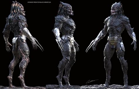 Define The Concept Of Predator