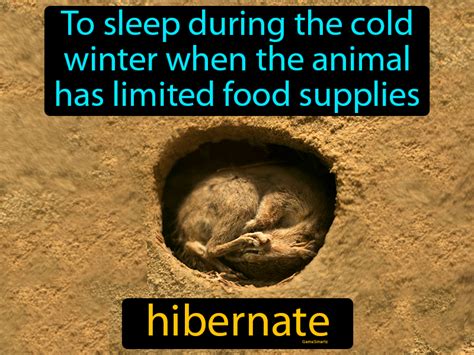 define the term hibernation