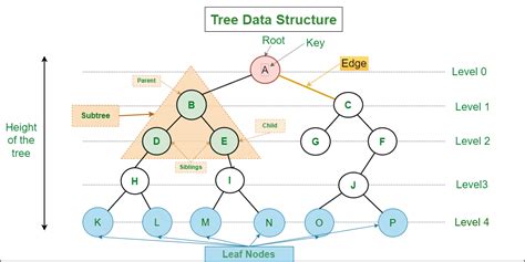 define tree in data structure algorithm