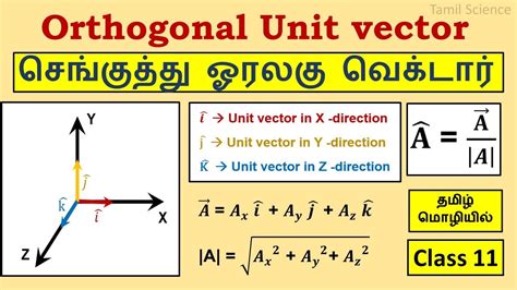 define unit vector in physics class 11