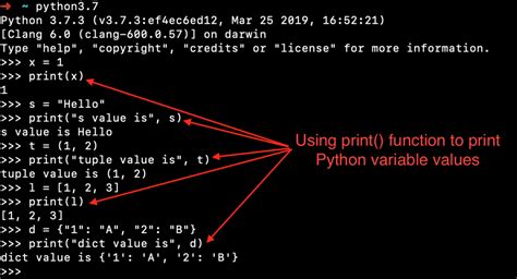 define values in python