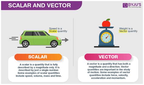 define vector and scalar quantities with examples
