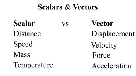 define vectors and scalars with their examples in physics