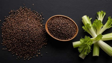 Defined Celery Seed