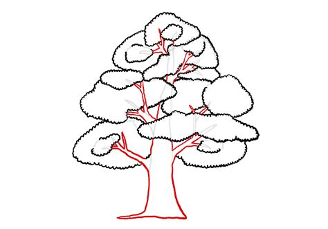 Defining the trunk and branches of a tree drawing