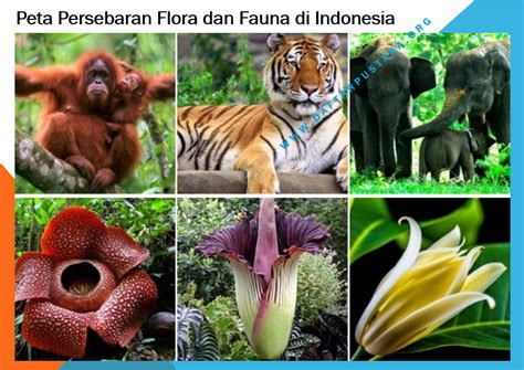 definisi flora dan fauna