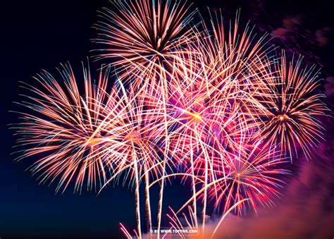 Celebrating Life's Definition: Understanding its True Meaning Today