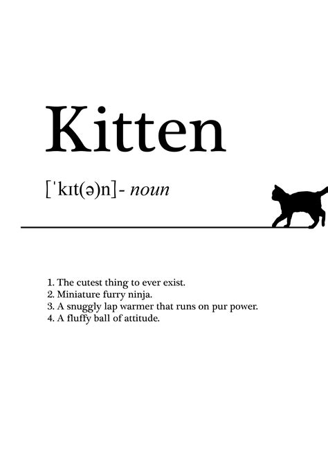 Definition De Kitty Cat
