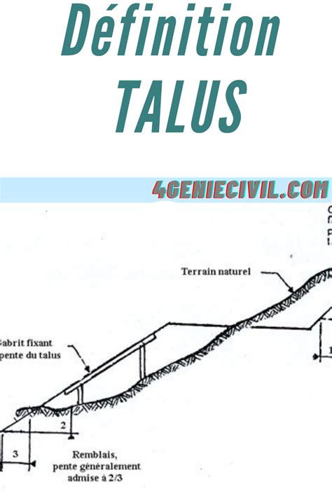 Definition De Talus