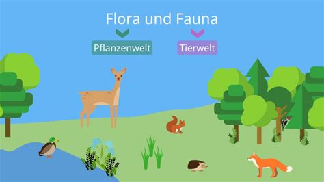 definition flora und fauna