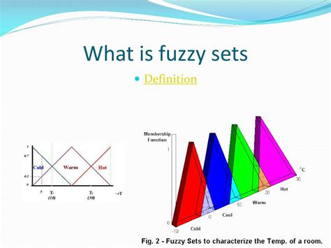 definition fuzzy