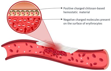 Definition Of Hemostatic Agent