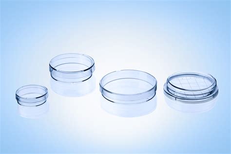 Definition Of Laboratory Dish