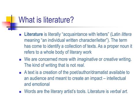definition of literature by expert