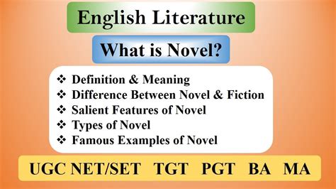 definition of novel in literature pdf