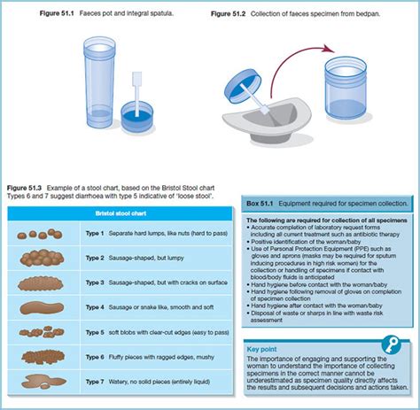 Definition Of Stool Specimen Collection