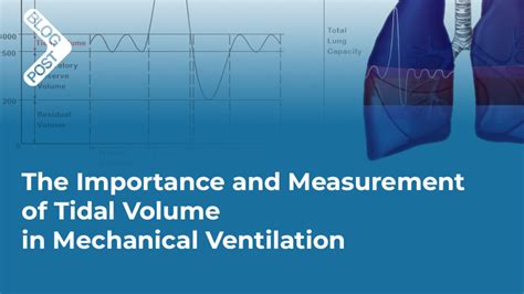 Definition Of Tidal Volume In Mechanical Ventilation
