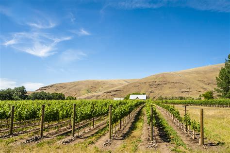 Definition Of Walla Walla