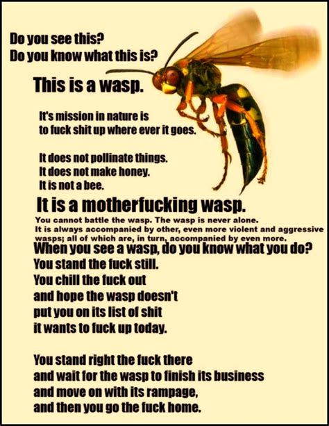 definition of wasp slang