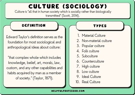 definition of woke culture in sociology
