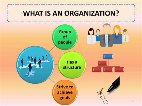 definition organisation