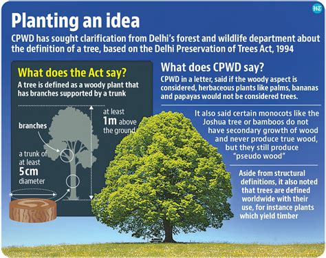 Definition Stands Of Trees