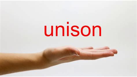 definition unisson