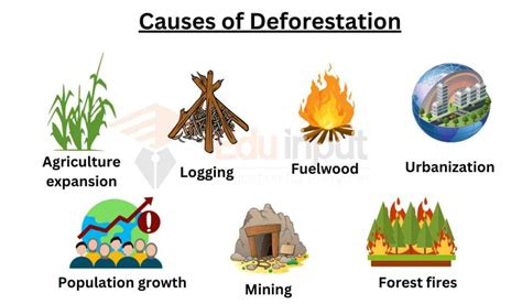 deforestation ap human geography definition
