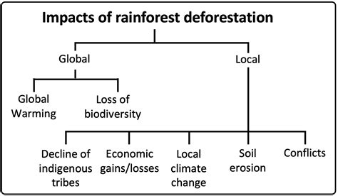 deforestation in malaysia gcse geography