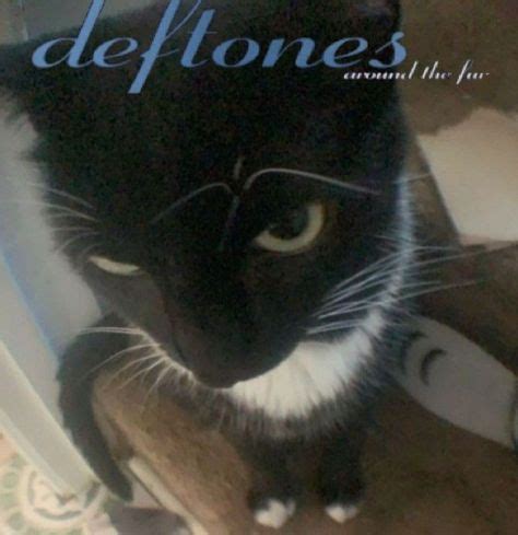 Deftones Pfp