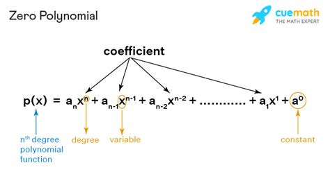 Degree Of Zero Polynomial Is Class 9: Essential Guide