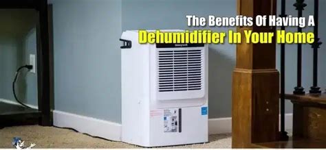 Dehumidifier Basement Benefits
