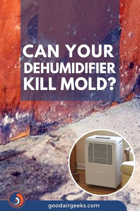 Dehumidifier Kill Mold