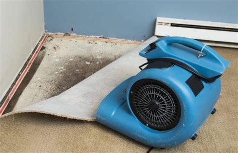 Dehumidifiers For Flood Damage