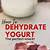 dehydrated yogurt drops recipe in oven