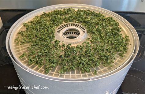 Dehydrated Parsley Root