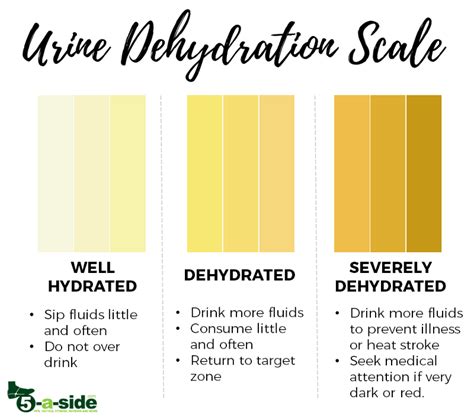 Dehydration Urine Retention