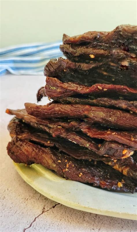 Dehydrator Jerky Recipe