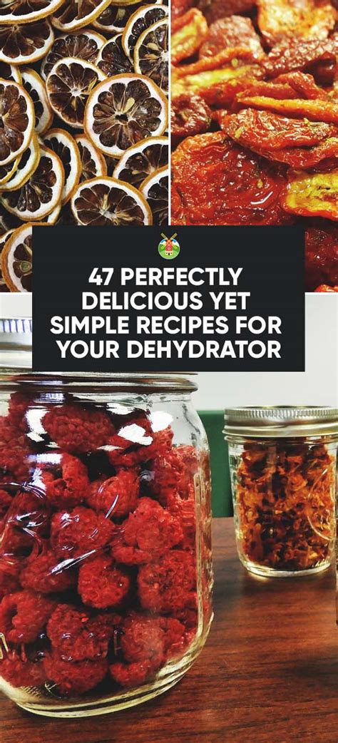 Dehydrator Recipes Reddit