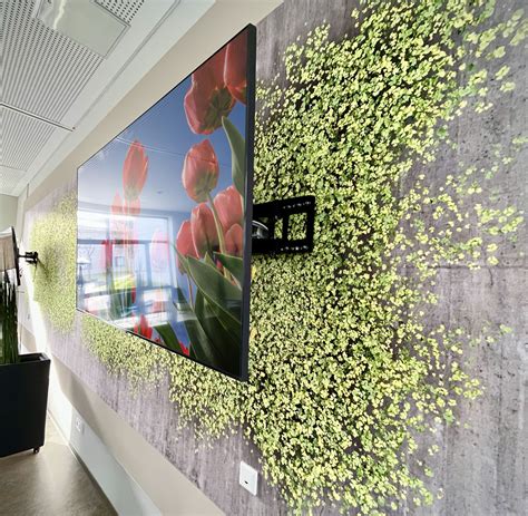 dekorative techniken malerrank.de