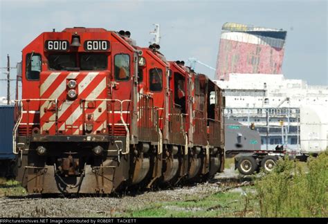 Delaware Ave Shopping Guide